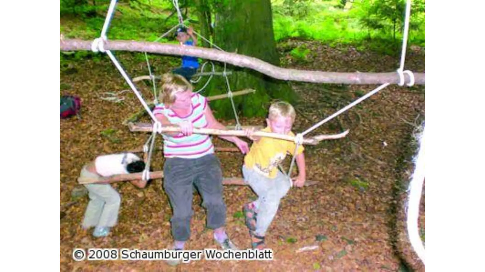 Zwischen den Bäumen und im Unterholz (Foto: red)