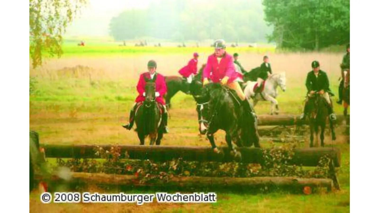 Im Galopp auf der Anis-Spur (Foto: bb)