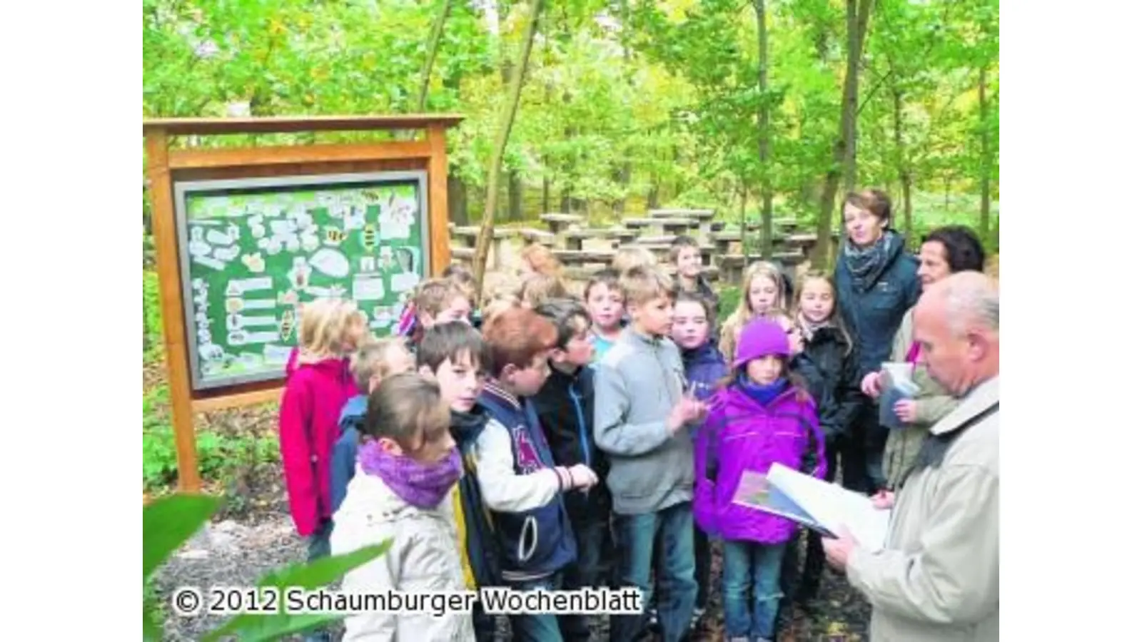 Das Waldklassenzimmer bekommt eine neue Tafel (Foto: al)