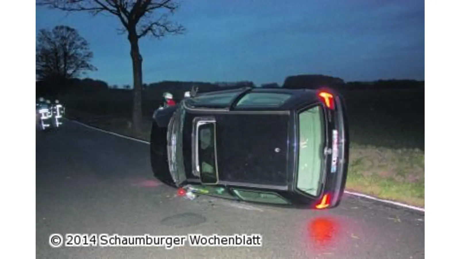 Gegen Baum geprallt (Foto: mh)