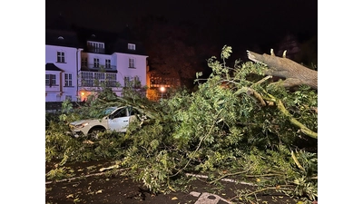 Eine große Eiche in der Tonhallenstraße ist auf einen PKW mit zwei Insassinnen gefallen. (Foto: Polizei)