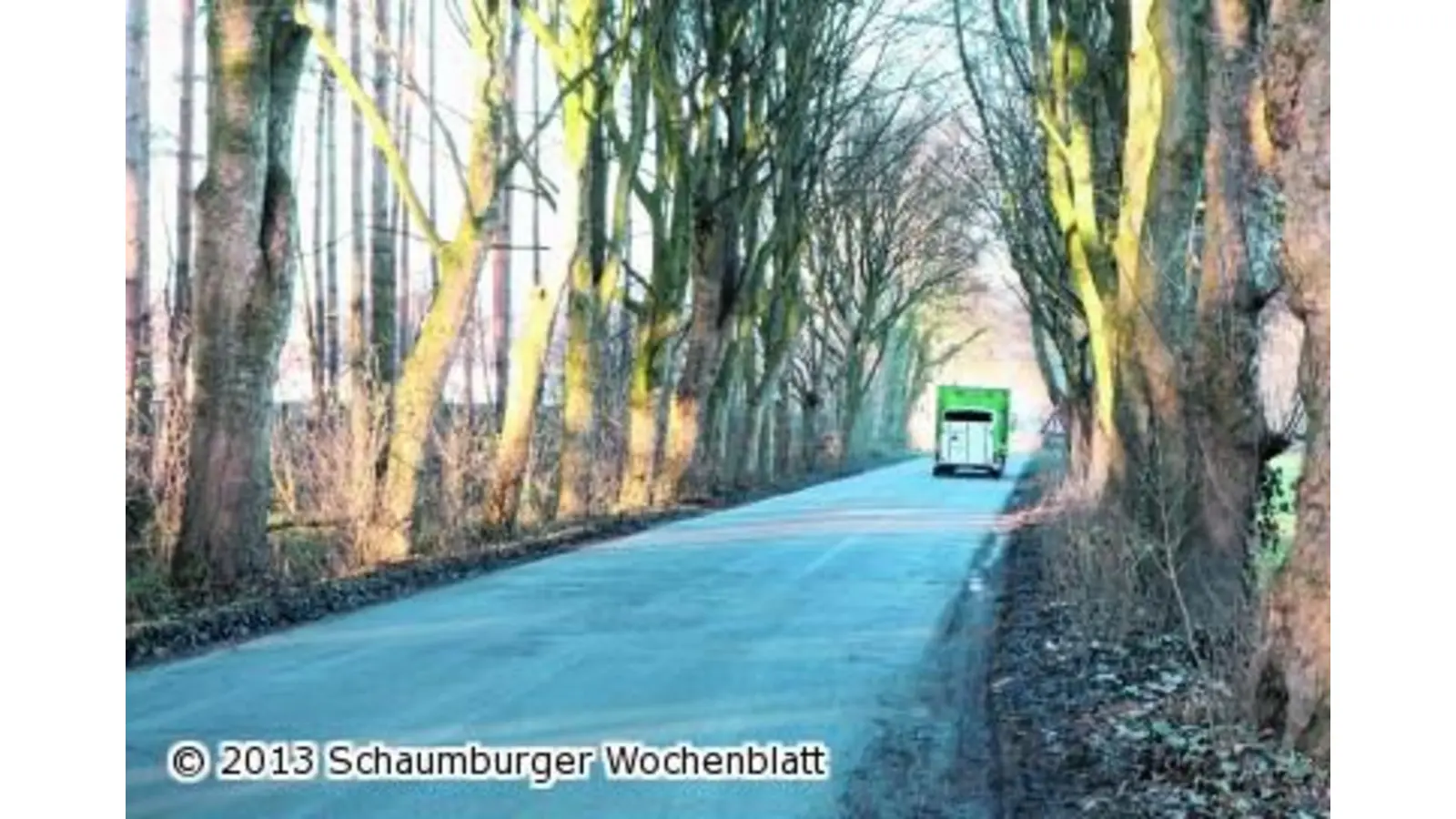 Ausbau der Straße am Georgschacht (Foto: bb)