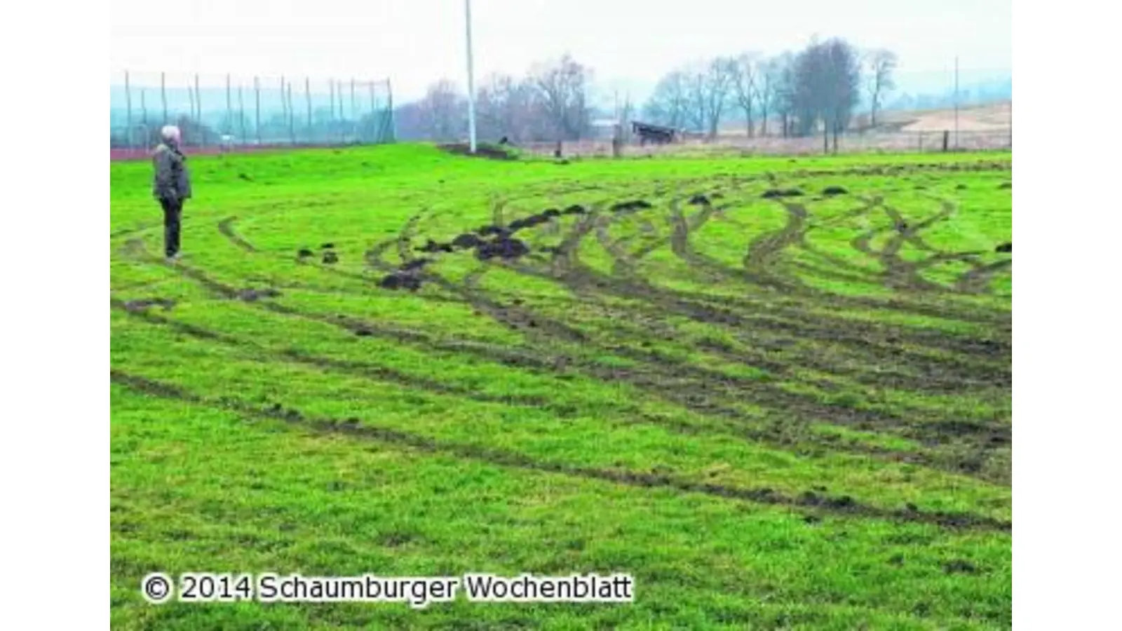 Tiefe Reifenspuren im Rasen (Foto: red)