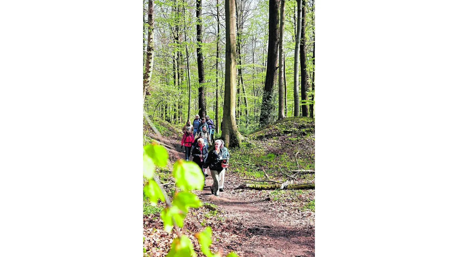 Raus in das ursprüngliche Wohnzimmer (Foto: em)