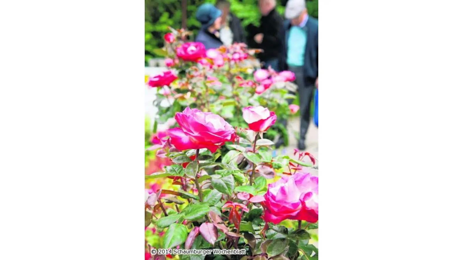 Die Lust am mondänen Landleben (Foto: wa)