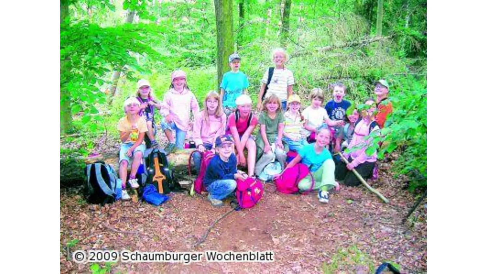 Kinder erspüren den Wald (Foto: rp)