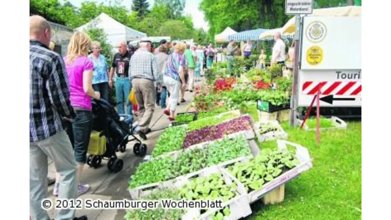 Bauernmarkt nach wie vor Renner (Foto: red)
