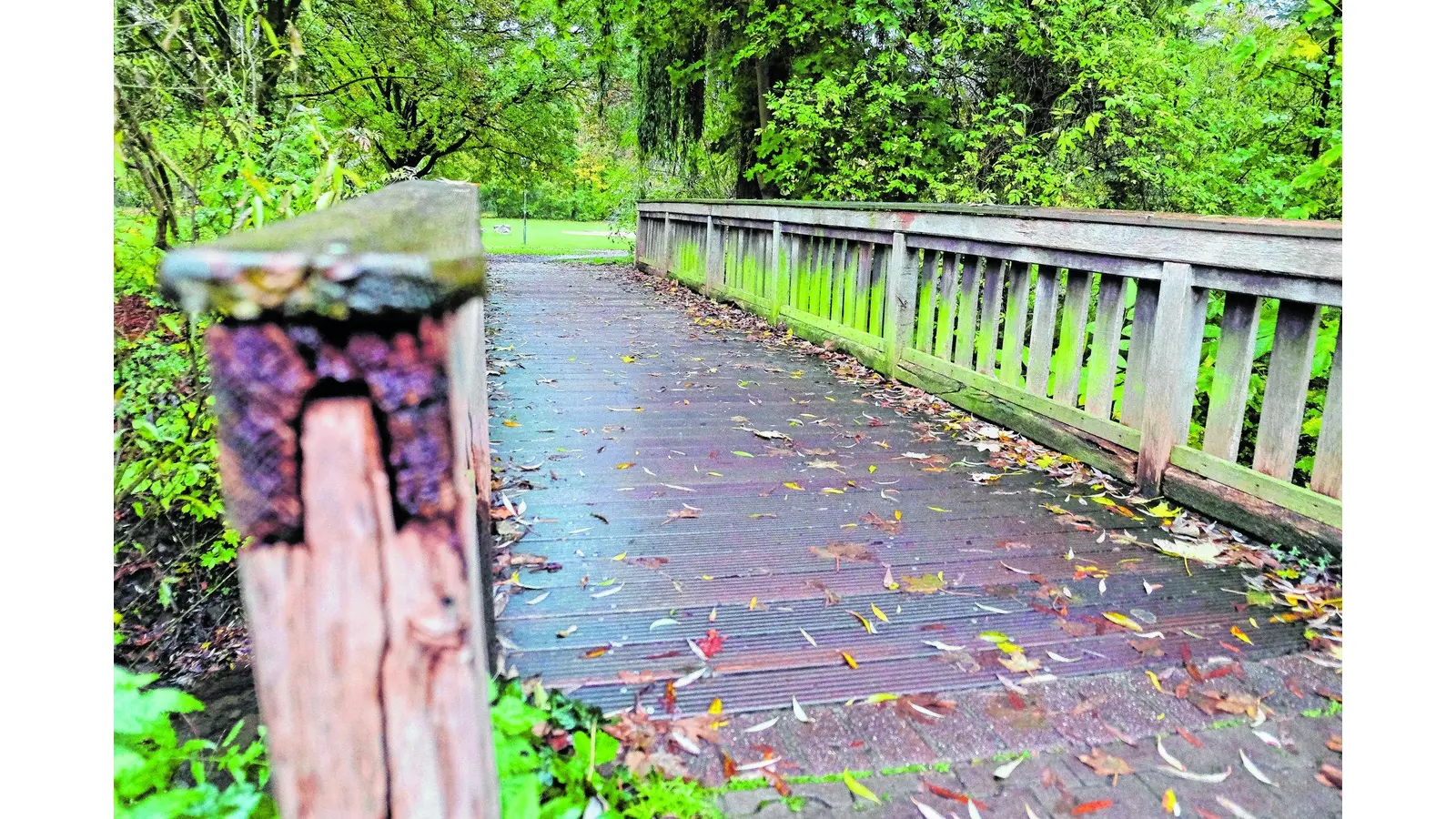 Erste Umgestaltungen im Park im nächsten Jahr (Foto: jl)