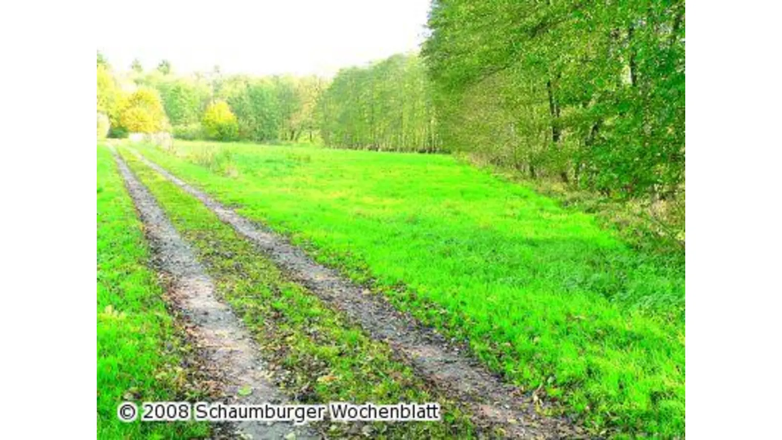 Nabu-Geländekauf stößt auf Kritik (Foto: al)