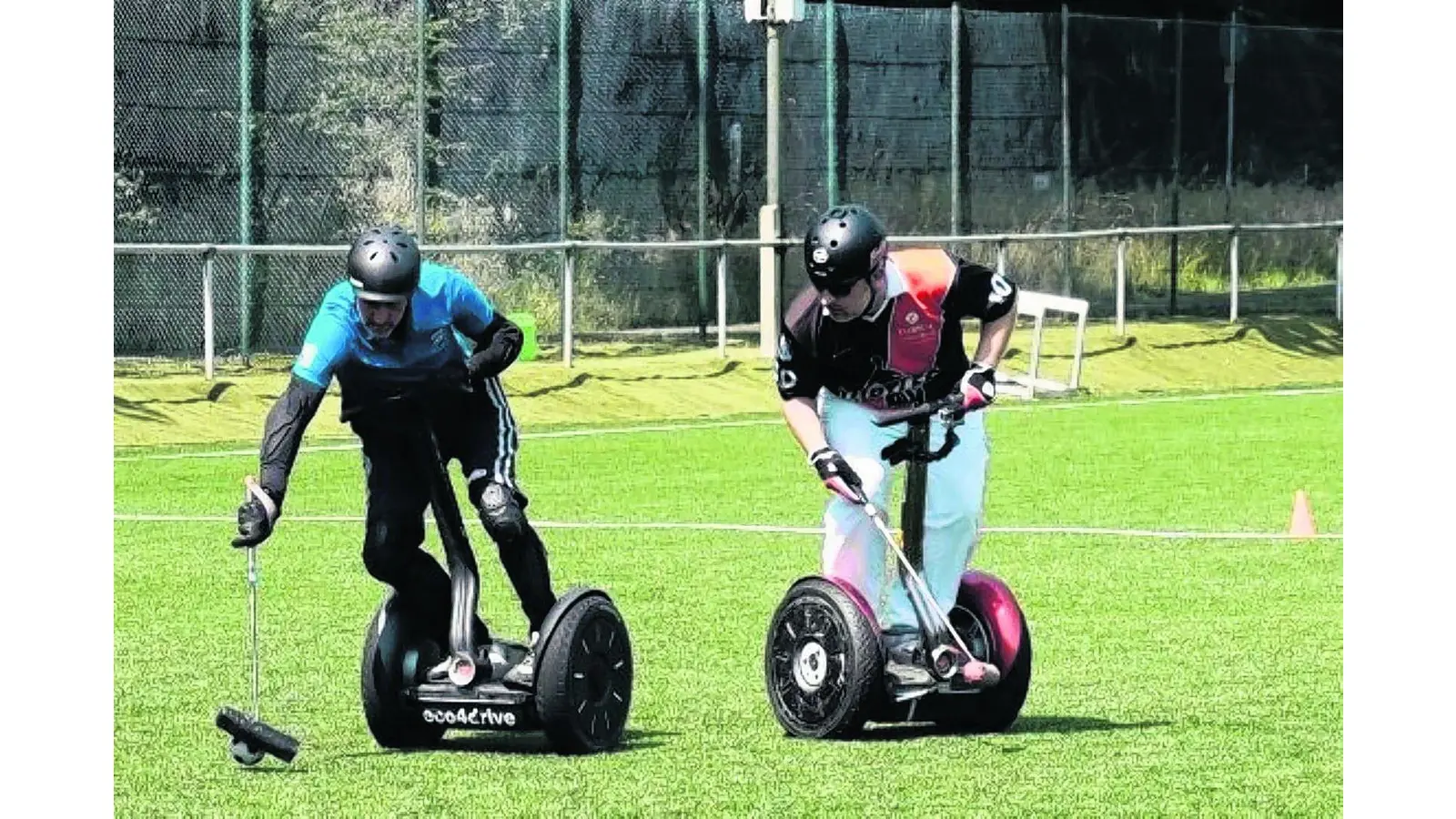 Elektro-Polo auf zwei Rädern (Foto: red)