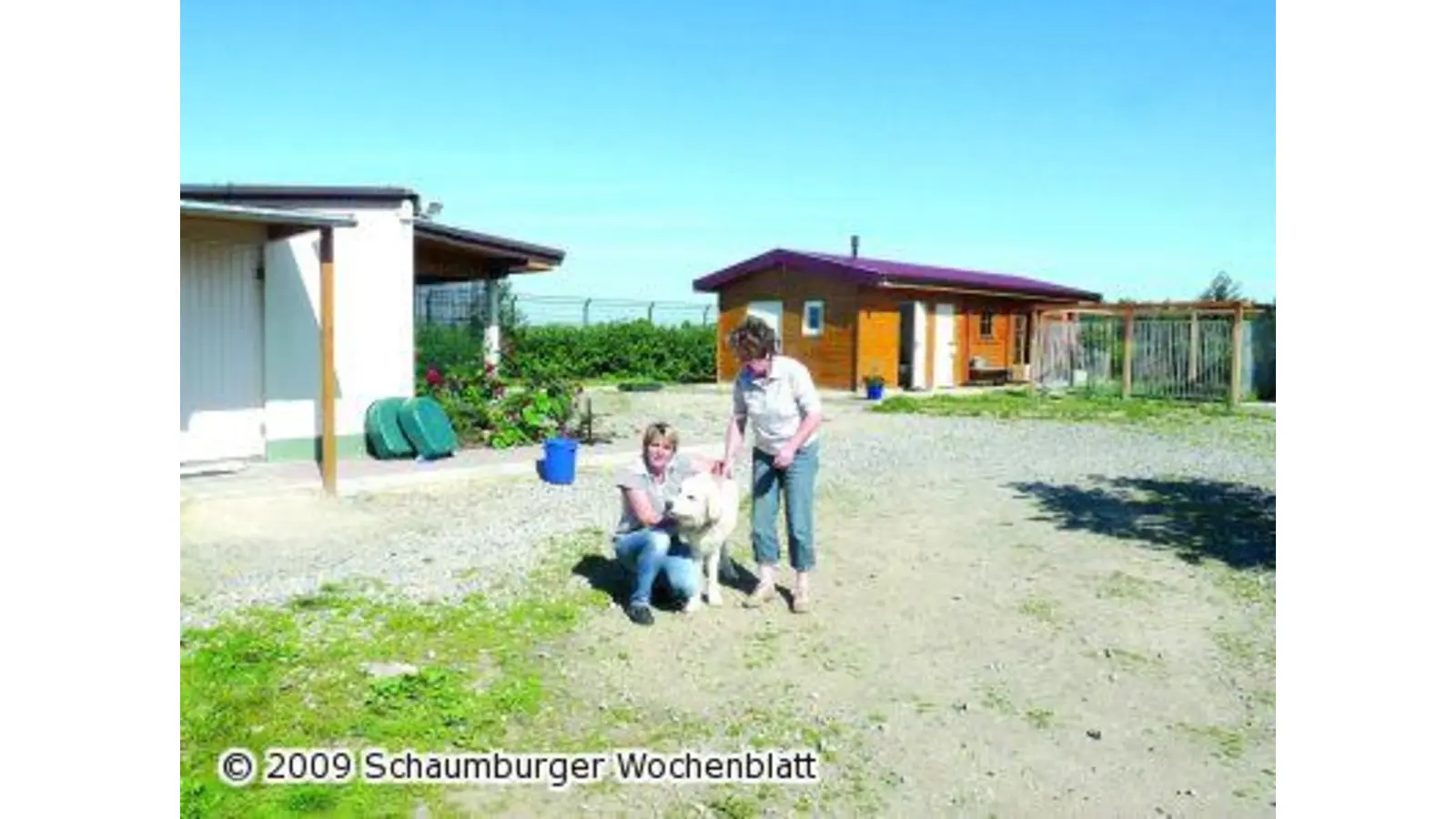 Tierschutz spürt Wirtschaftskrise (Foto: pd)