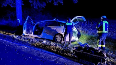 Zwischen Steinhude und Altenhagen: Die Unfallstelle. (Foto: Feuerwehr)