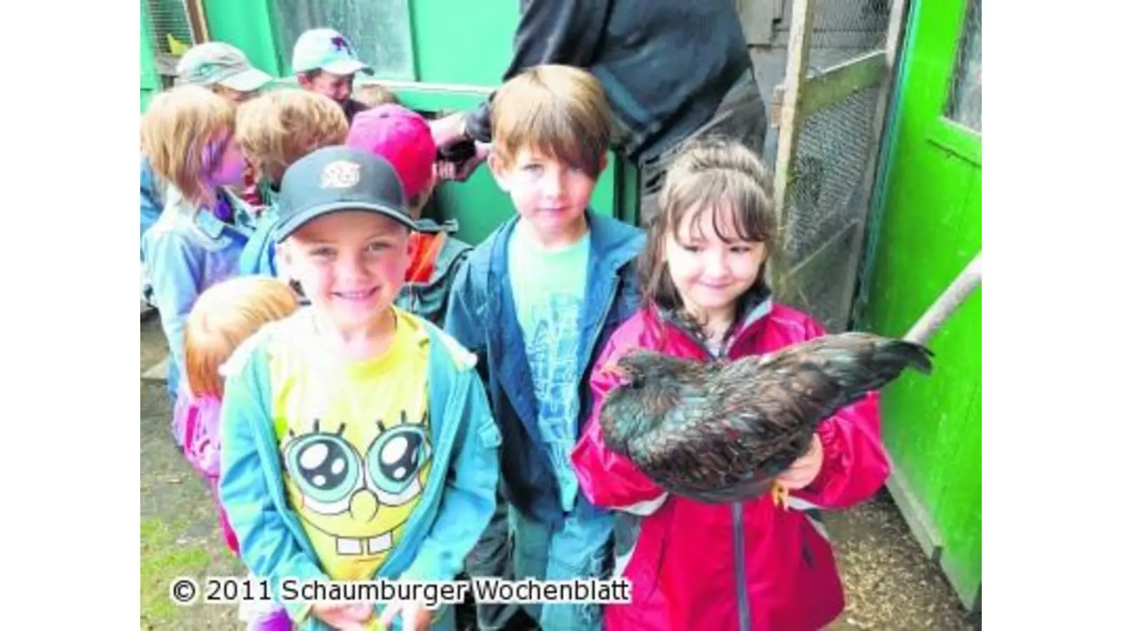 Kleine Küken sind heute wilde Hühner (Foto: pd)
