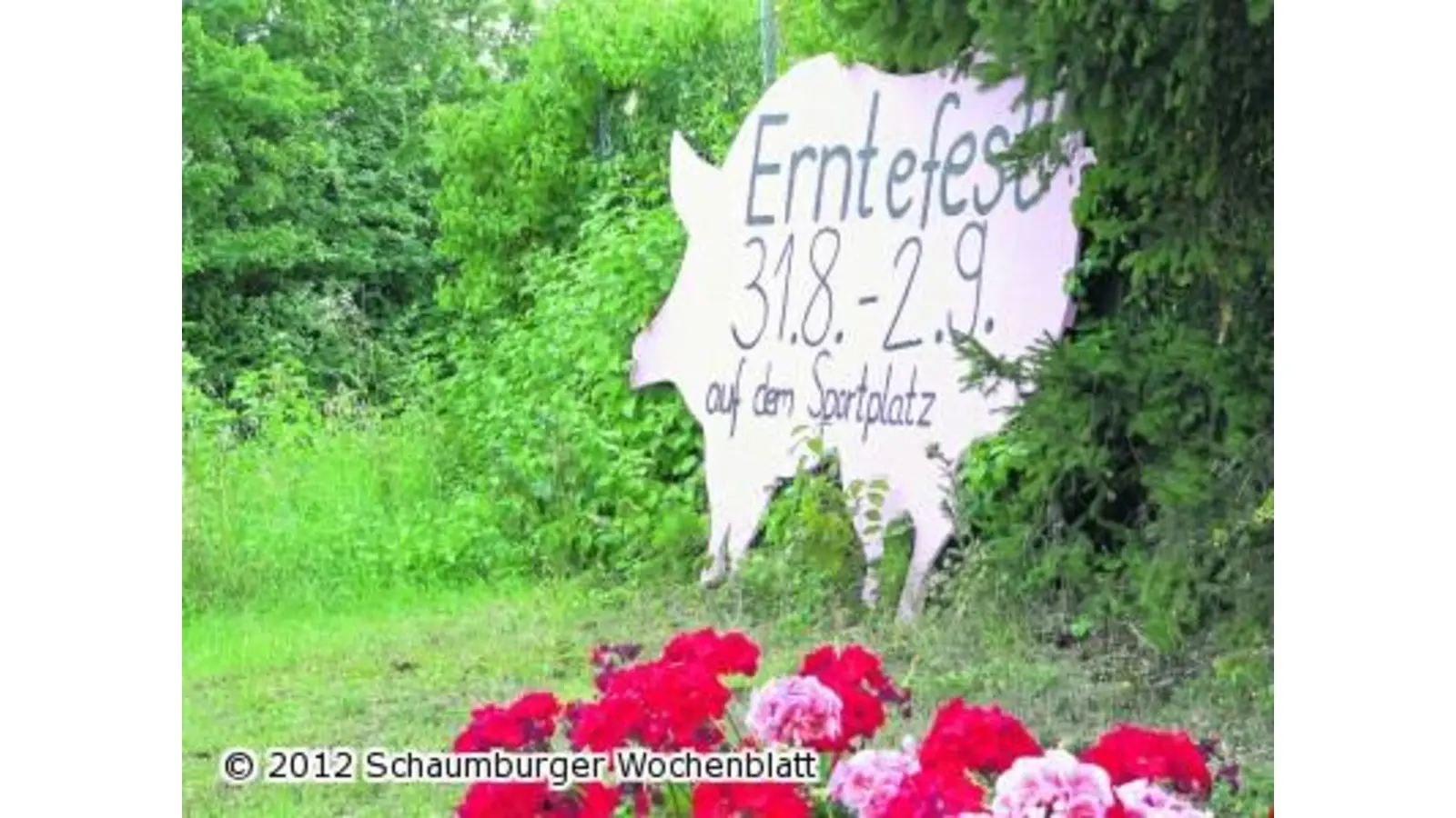 Ein Schwein wirbt am Ortsrand (Foto: al)