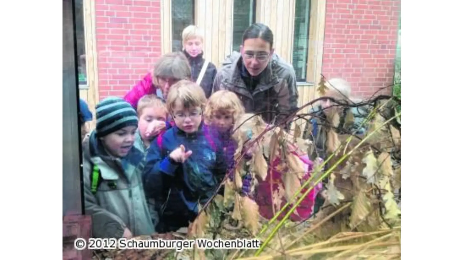 Schulkindergarten erkundet Wildtierstation (Foto: em)
