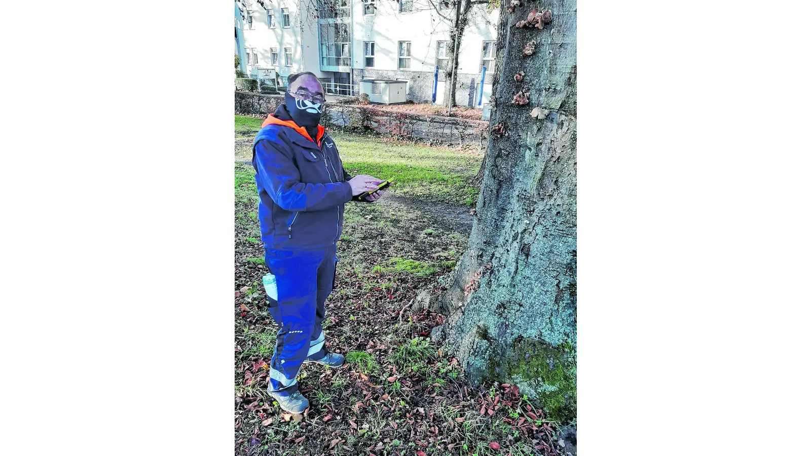 Baumpilze im Visier (Foto: cs)