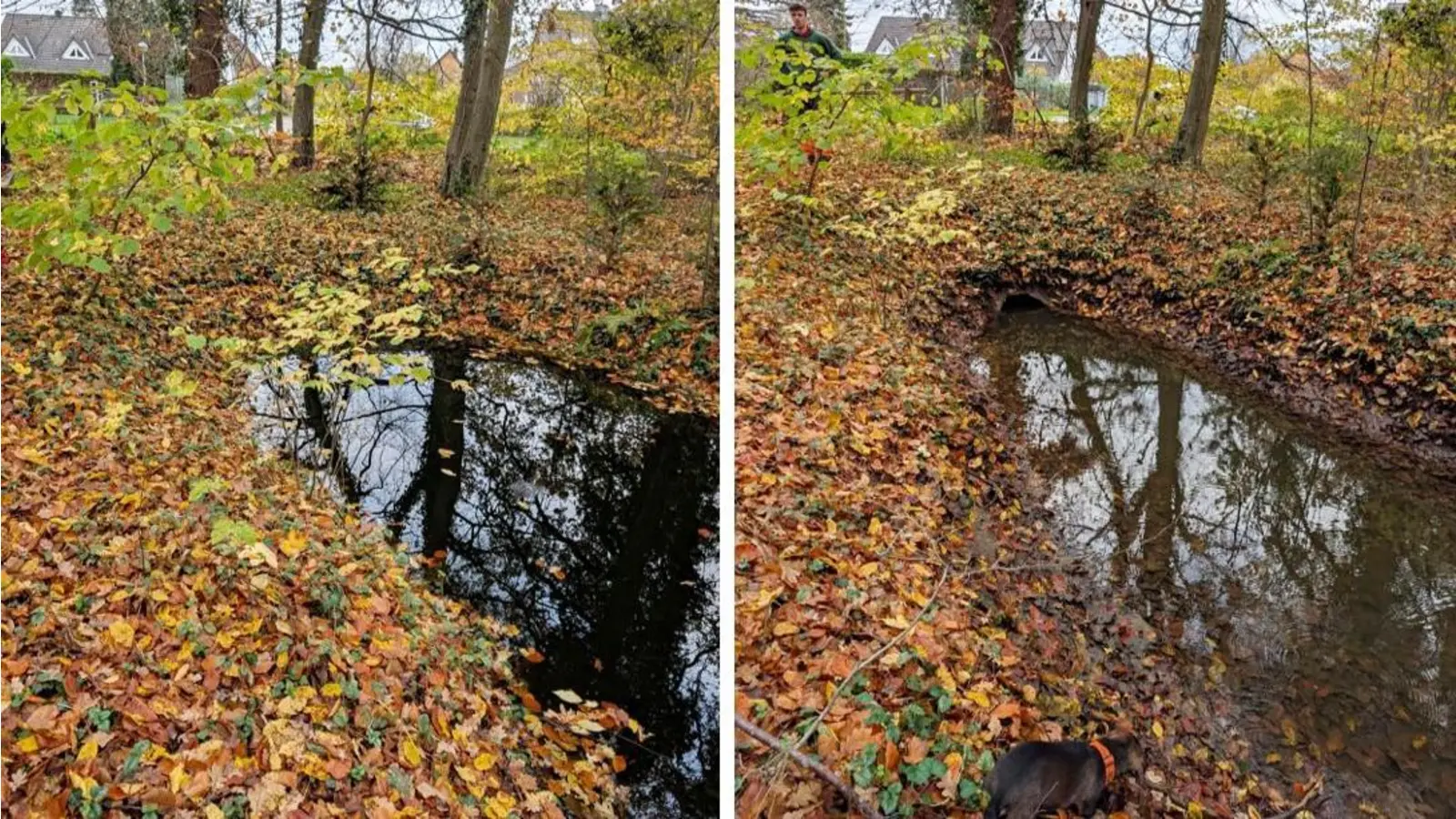 Das Foto zeigt die Wasserstände vor und nach dem Eingriff des Unterhaltungsverbands. (Foto: privat)