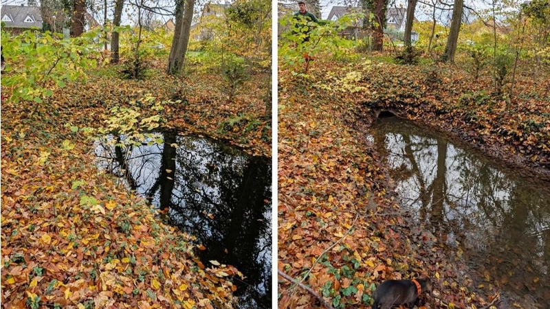Das Foto zeigt die Wasserstände vor und nach dem Eingriff des Unterhaltungsverbands. (Foto: privat)
