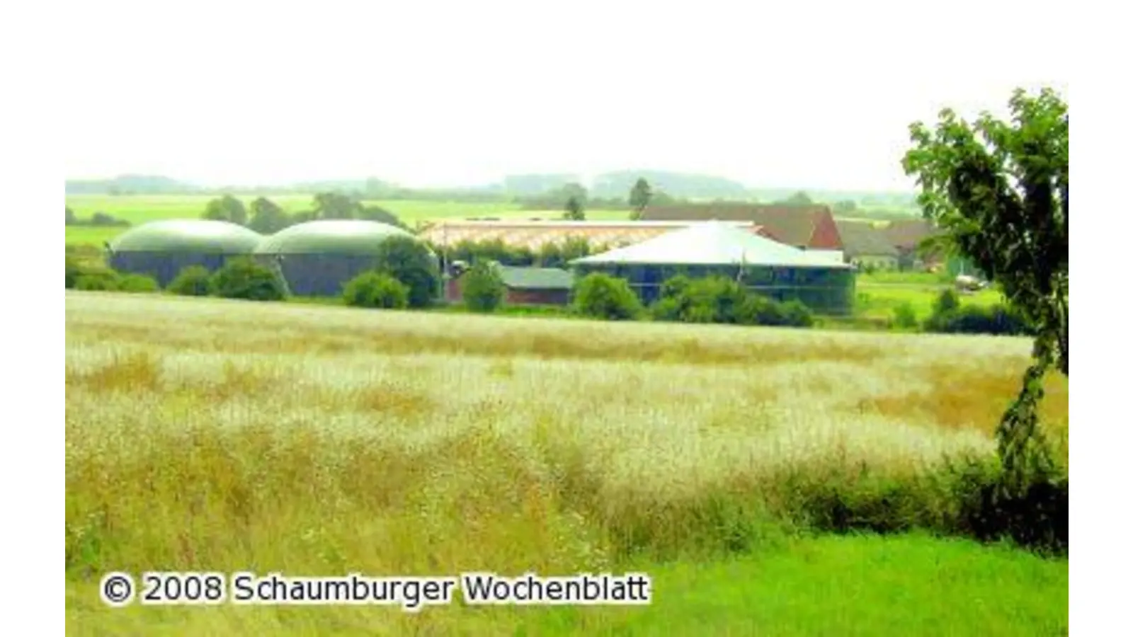 Bürger sollen von Biogasanlage profitieren (Foto: tt)