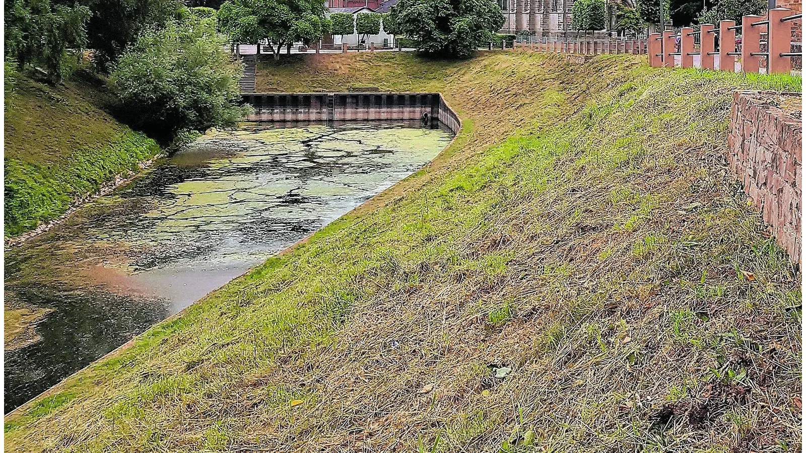 Viele Probleme und leider zu wenig Lösungen (Foto: ste)