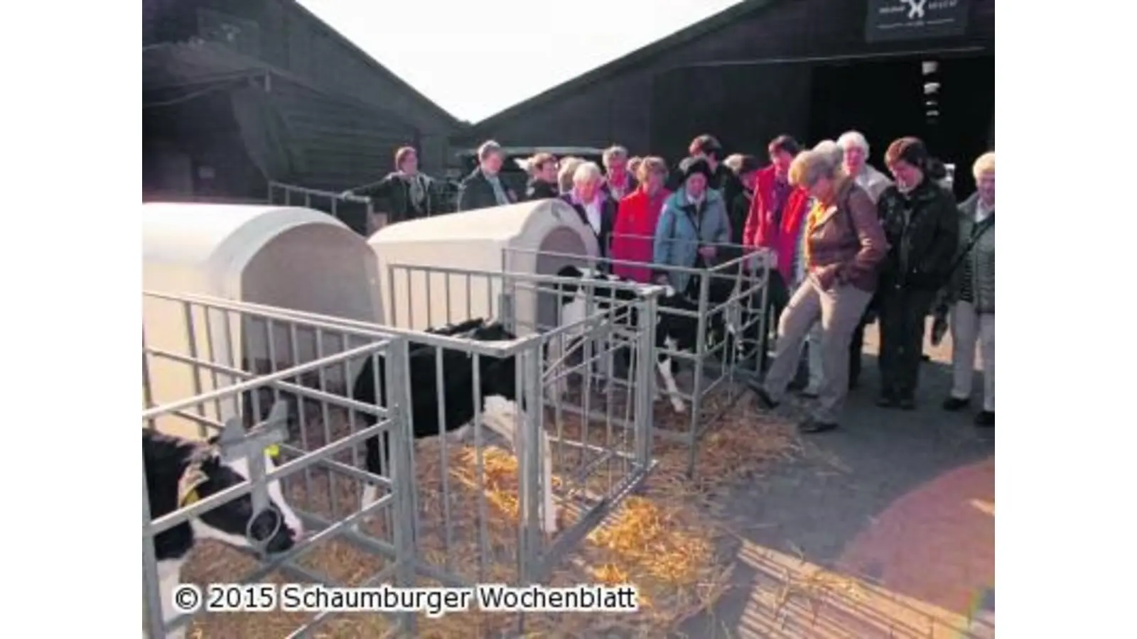 Kälberaufzucht und Melkkarussell (Foto: mk)