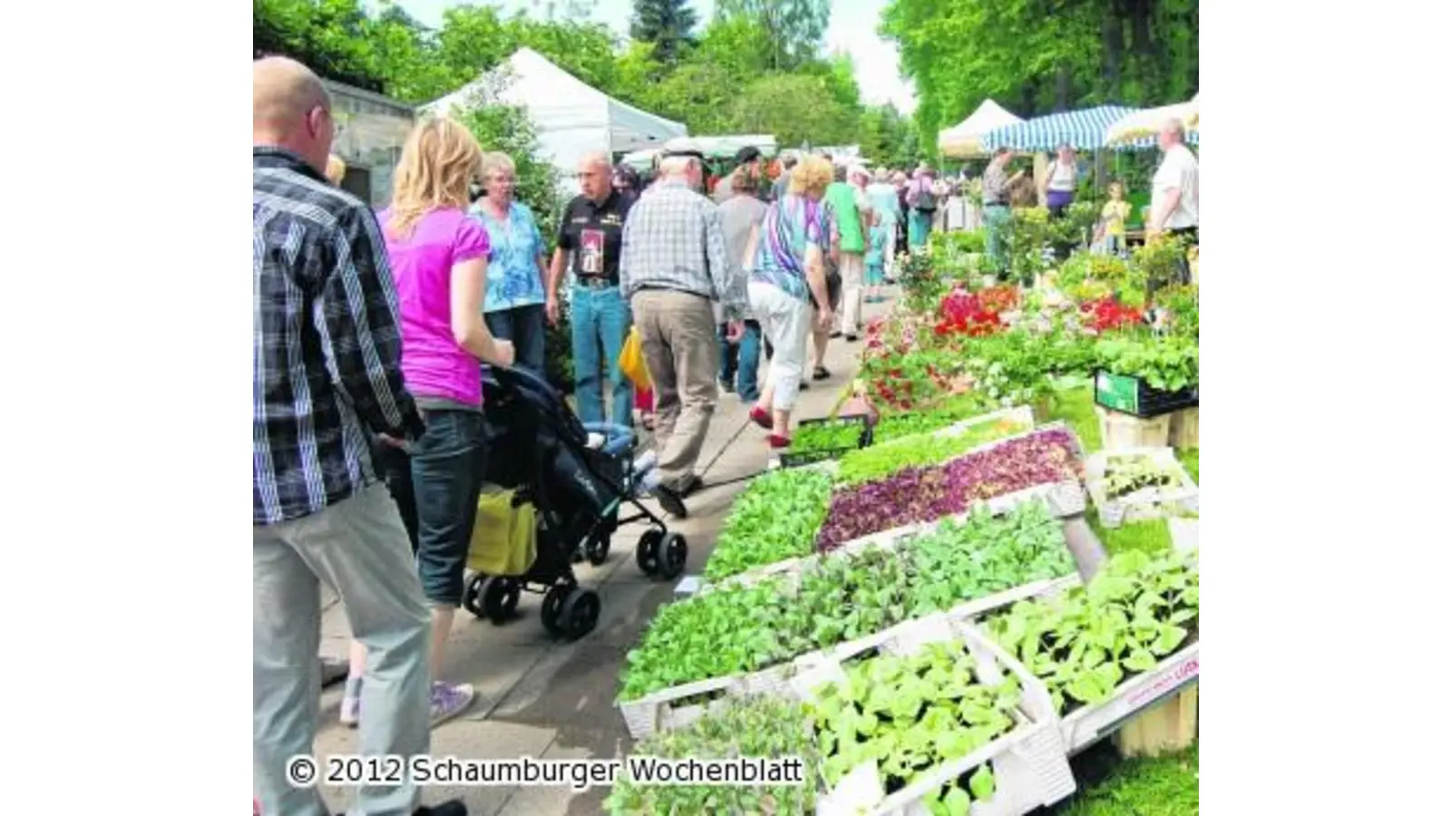Handwerkskunst und bäuerliche Produkte (Foto: red)