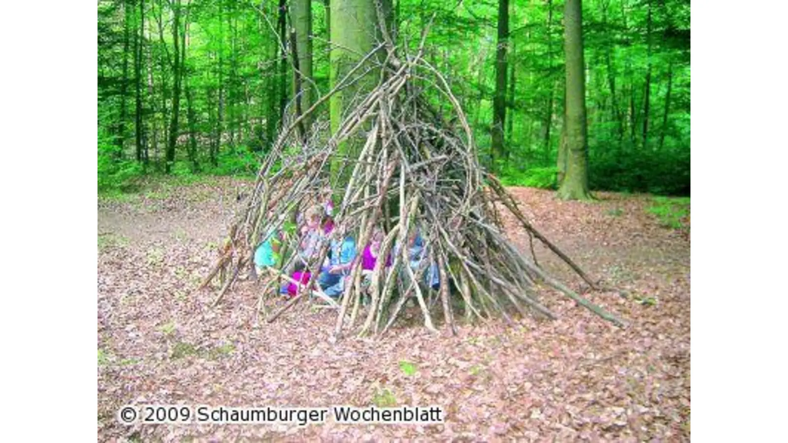 Wie Hase und Hirsch durch das Unterholz (Foto: nb)
