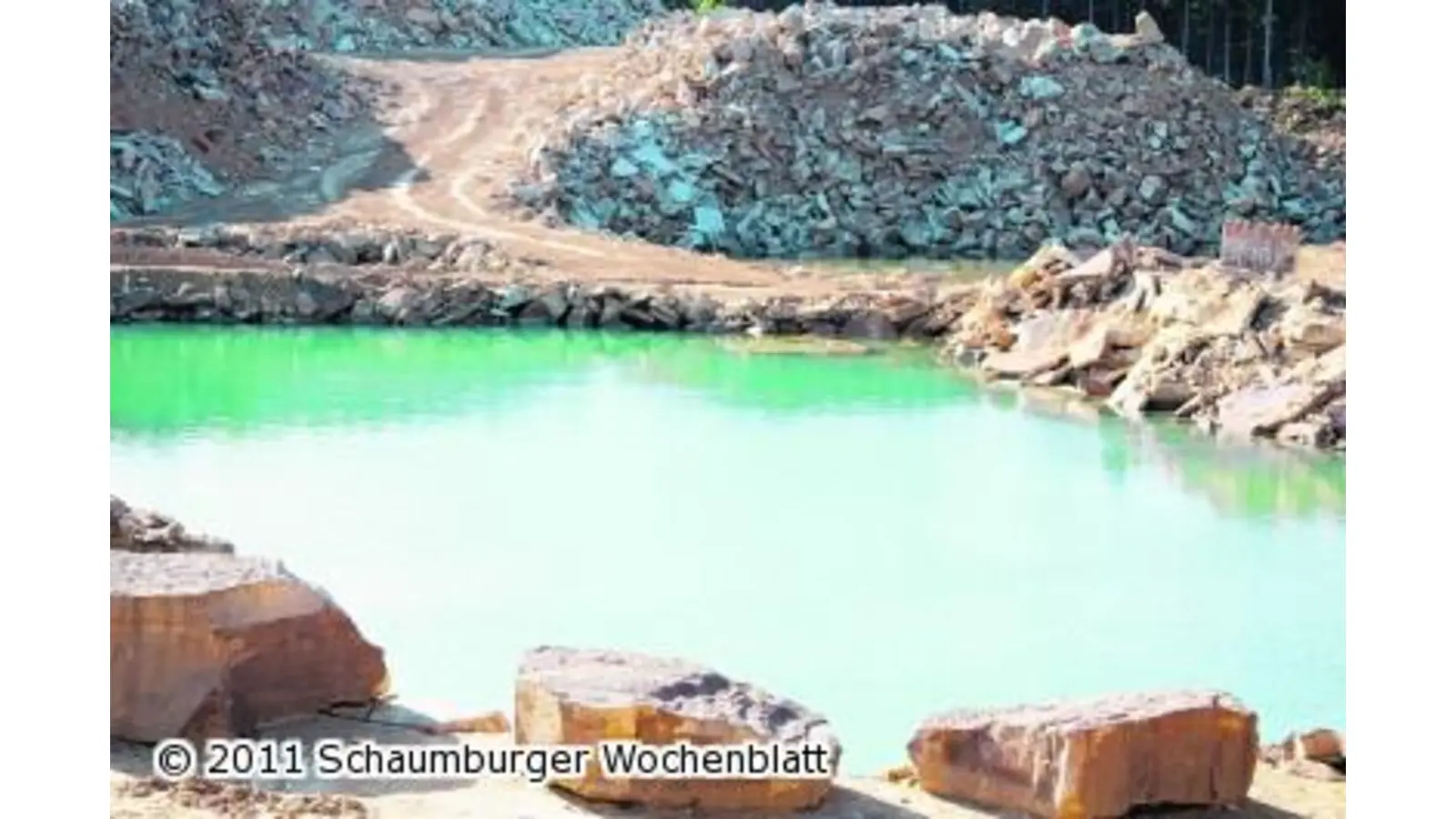 Auf den Spuren der Dinosaurier (Foto: red)