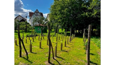 Der Garten Ellersiek. (Foto: privat)