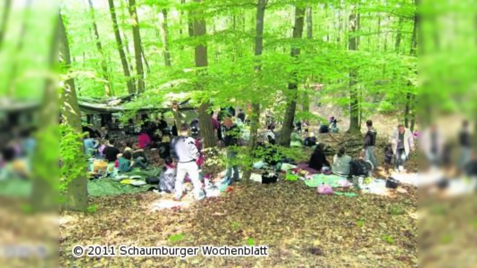 Picknick im Wald genießen (Foto: hb)