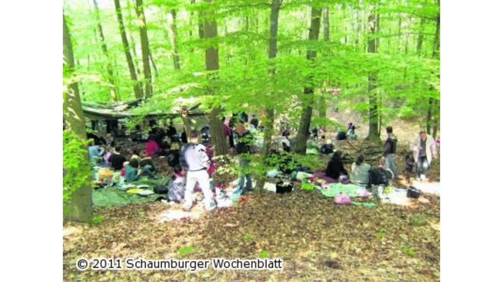 Picknick im Wald genießen (Foto: hb)