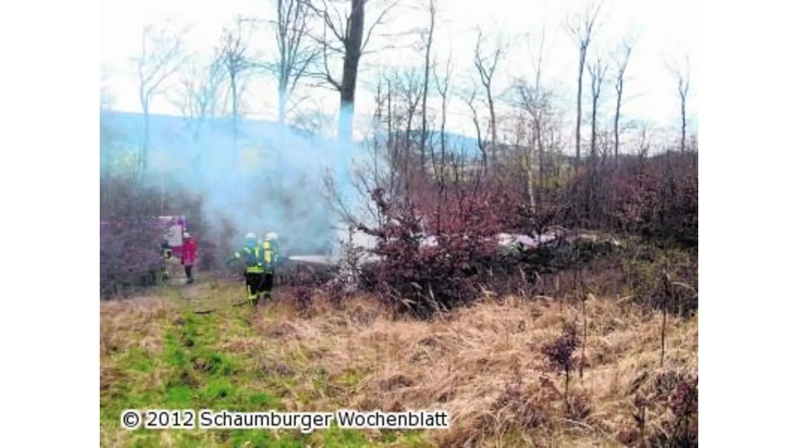 Spaziergänger verhindern Waldbrand (Foto: ste)