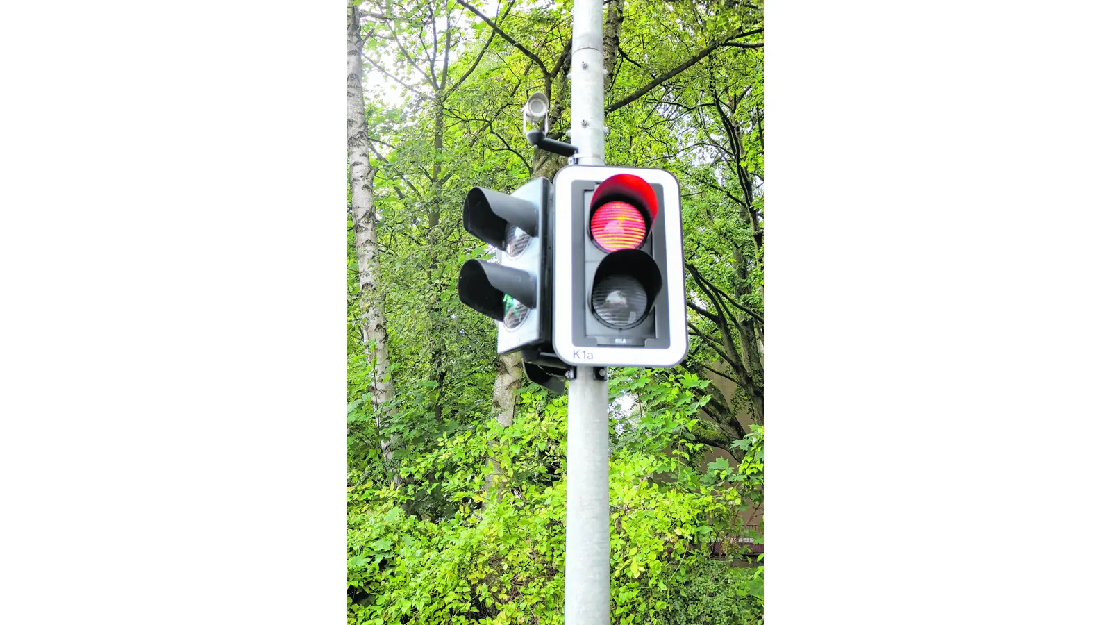 Neue Ampel auf der B65 (Foto: jb)