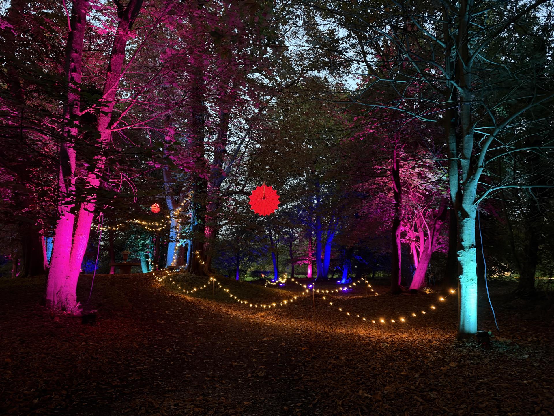 MärchenLichter (Foto: nd)