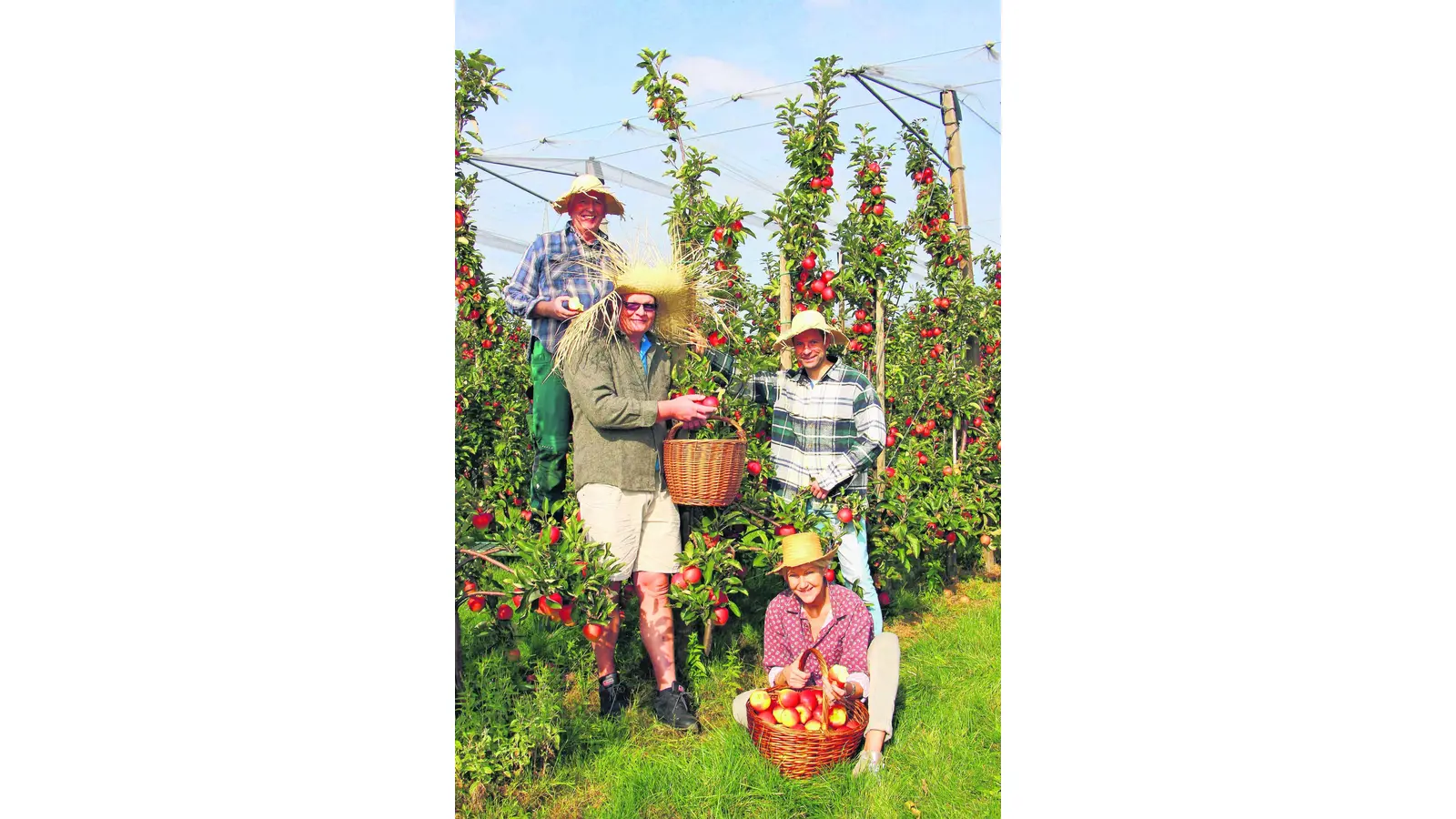 Bauernmarkt so bunt wie das Herbstlaub (Foto: jl)