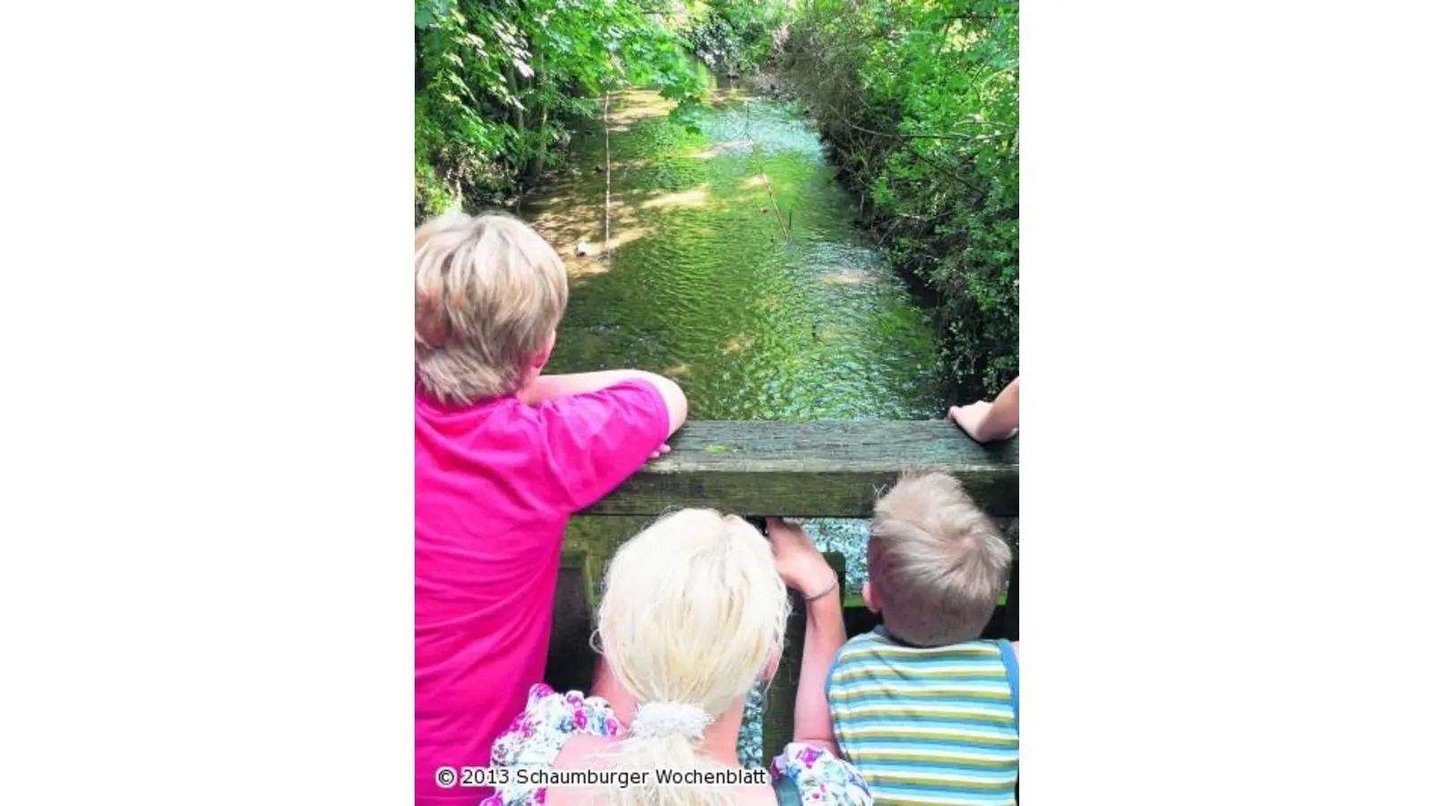 Niklas holt mit seiner Rennente den Regattasieg (Foto: al)