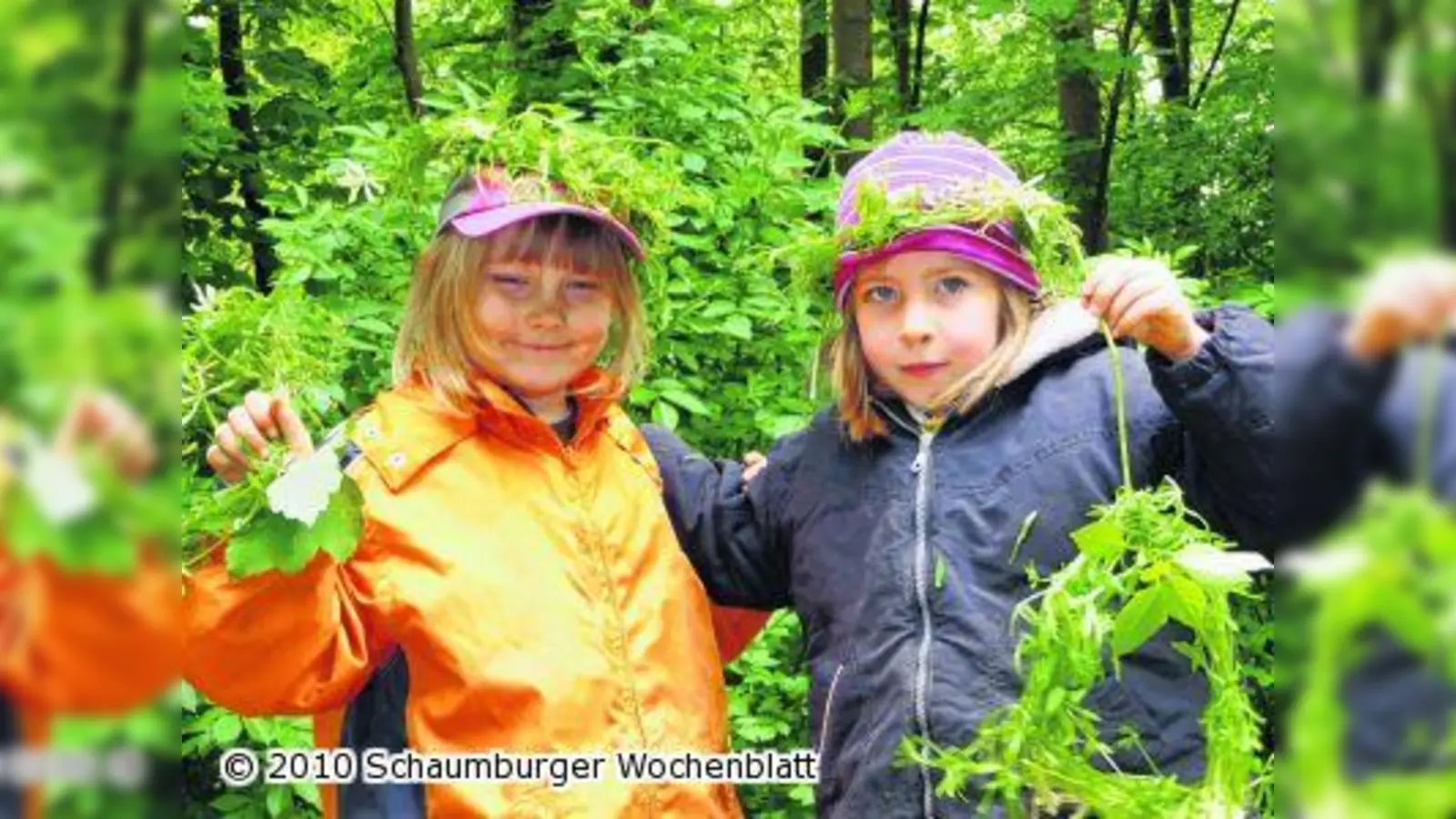 Kindergartenkinder erobern den Harrl (Foto: red)