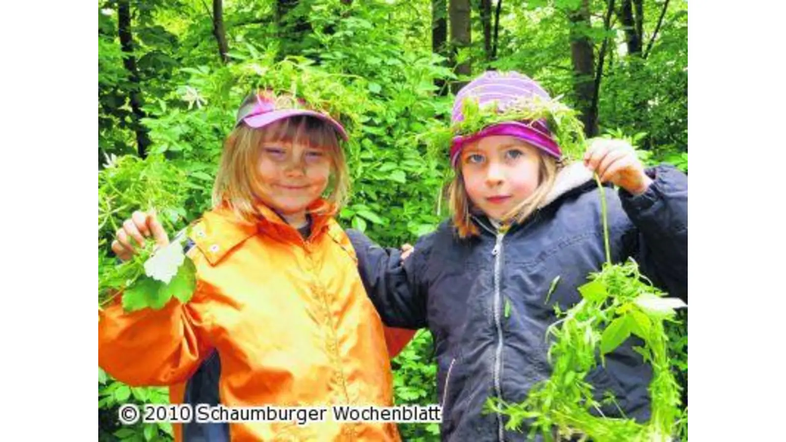 Kindergartenkinder erobern den Harrl (Foto: red)