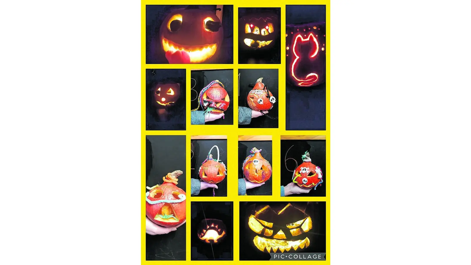 Jury entscheidet über Kürbisse (Foto: jb)