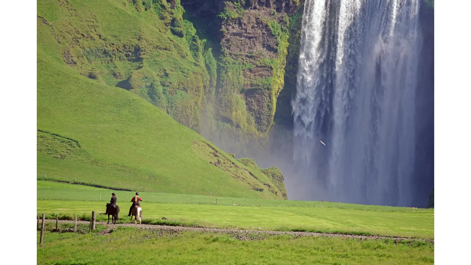 Die Zuschauer erwarten eindrucksvolle Aufnahmen. (Foto: Reinhard Pantke)