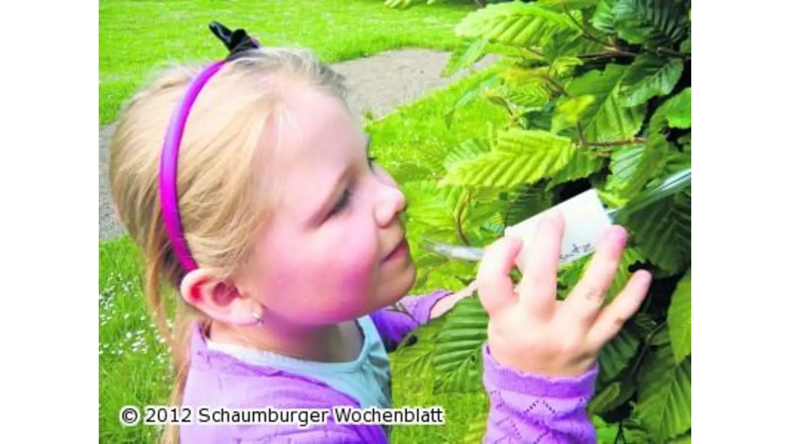Schüler bauen Insektenstaubsauger (Foto: red)