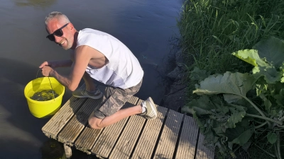 Am Flussufer: Die Quappen werden in die Leine bei Schloß Ricklingen ausgesetzt. (Foto: privat)