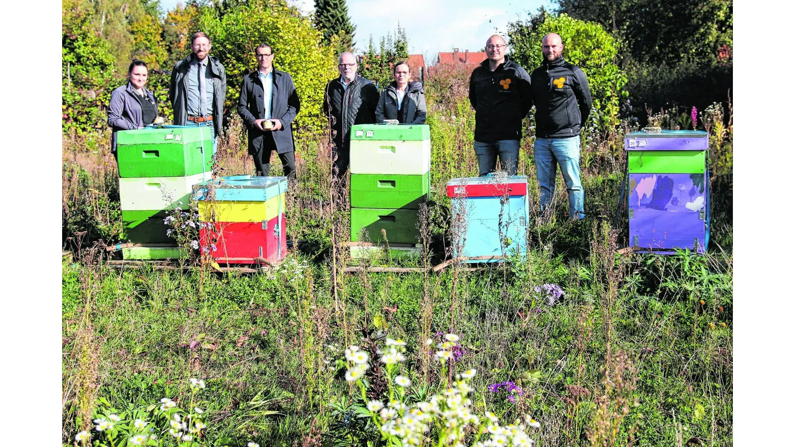 Bienen sammeln Honig mitten in der Stadt (Foto: bb)