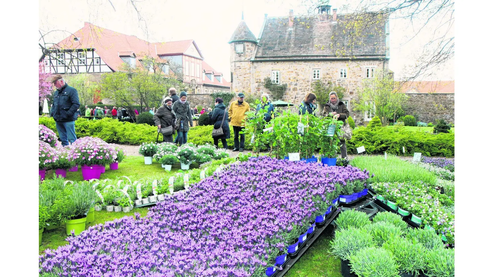 Das Rittergut wird zum Paradies für Gartenfreunde (Foto: red)