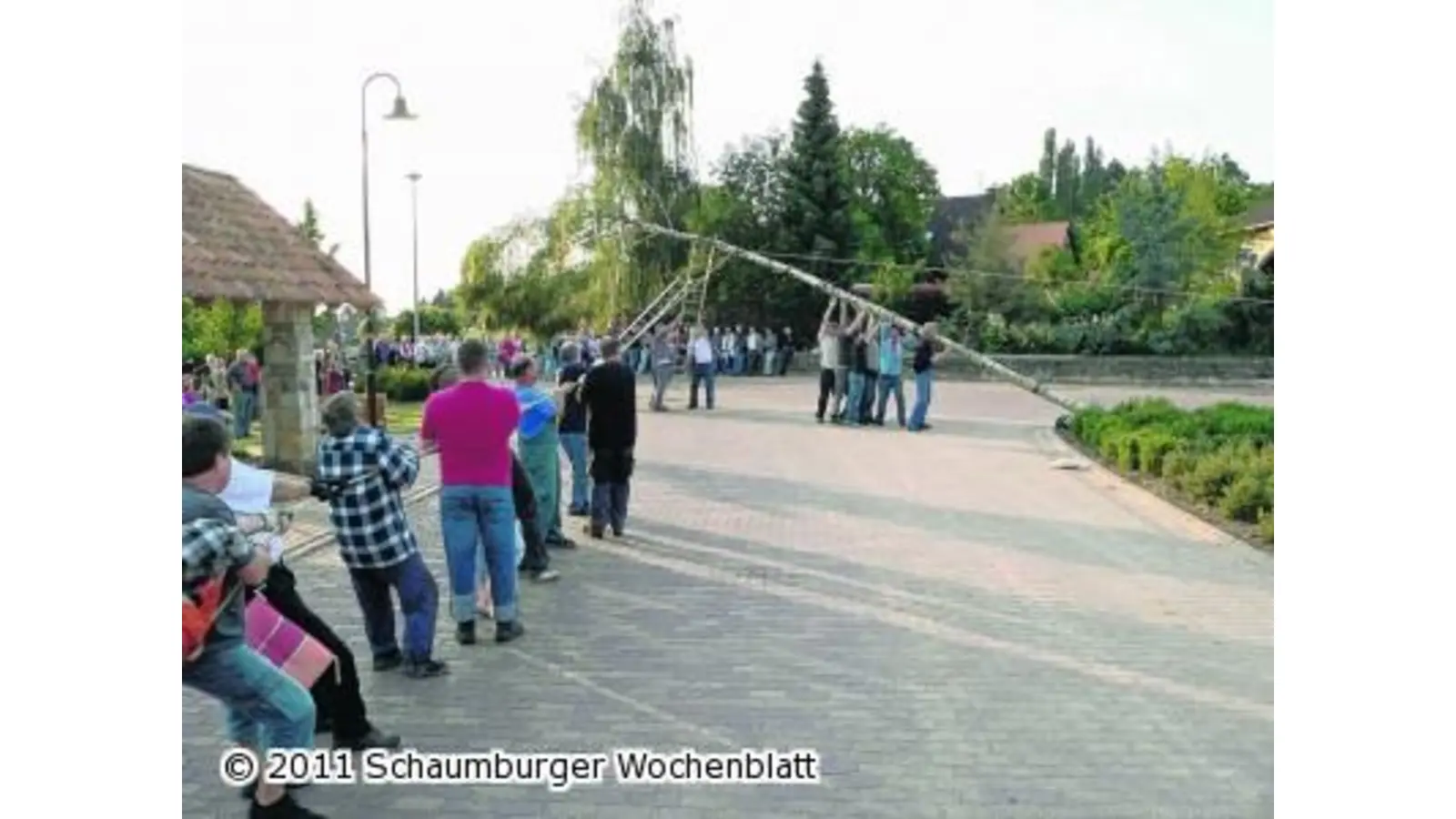 Im zweiten Anlauf steht der Baum (Foto: al)