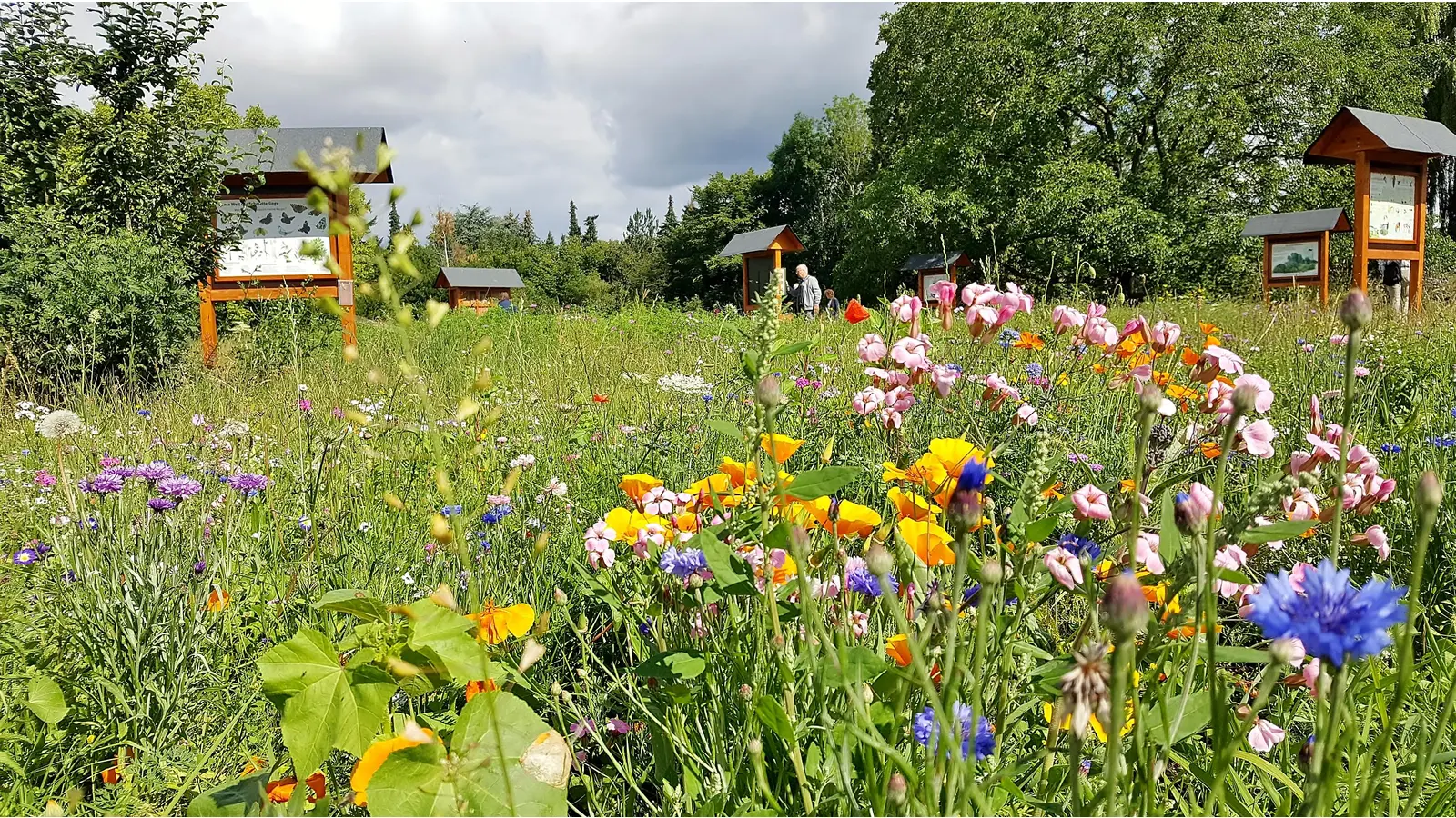 Der Bienenschaugarten „Melissa“ braucht eine Frischzellenkur und fleißige Hände werden am Samstag, 23. August, gerne gesehen, um beim „Spätjahresputz“ mitzuhelfen. (Foto: ste)