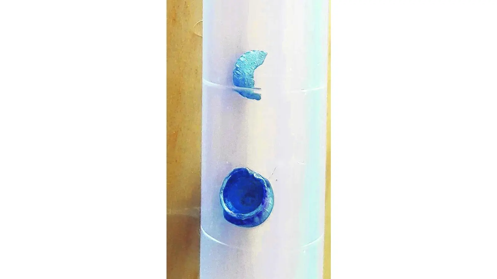 Unbekannter schießt auf eine Katze (Foto: tr)