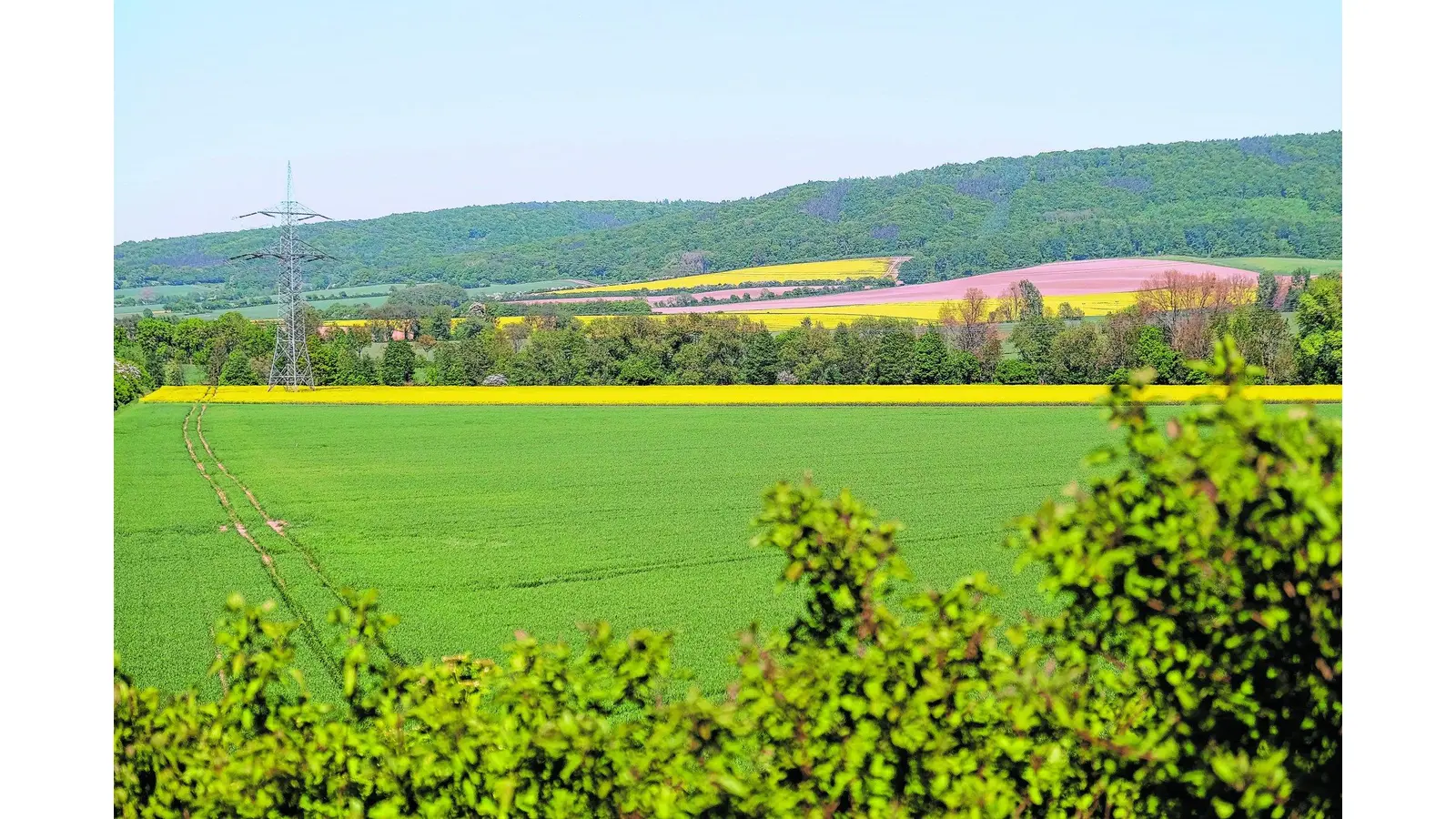 Die Samtgemeinde aus ganz neuen Blickwinkeln entdecken (Foto: jl)