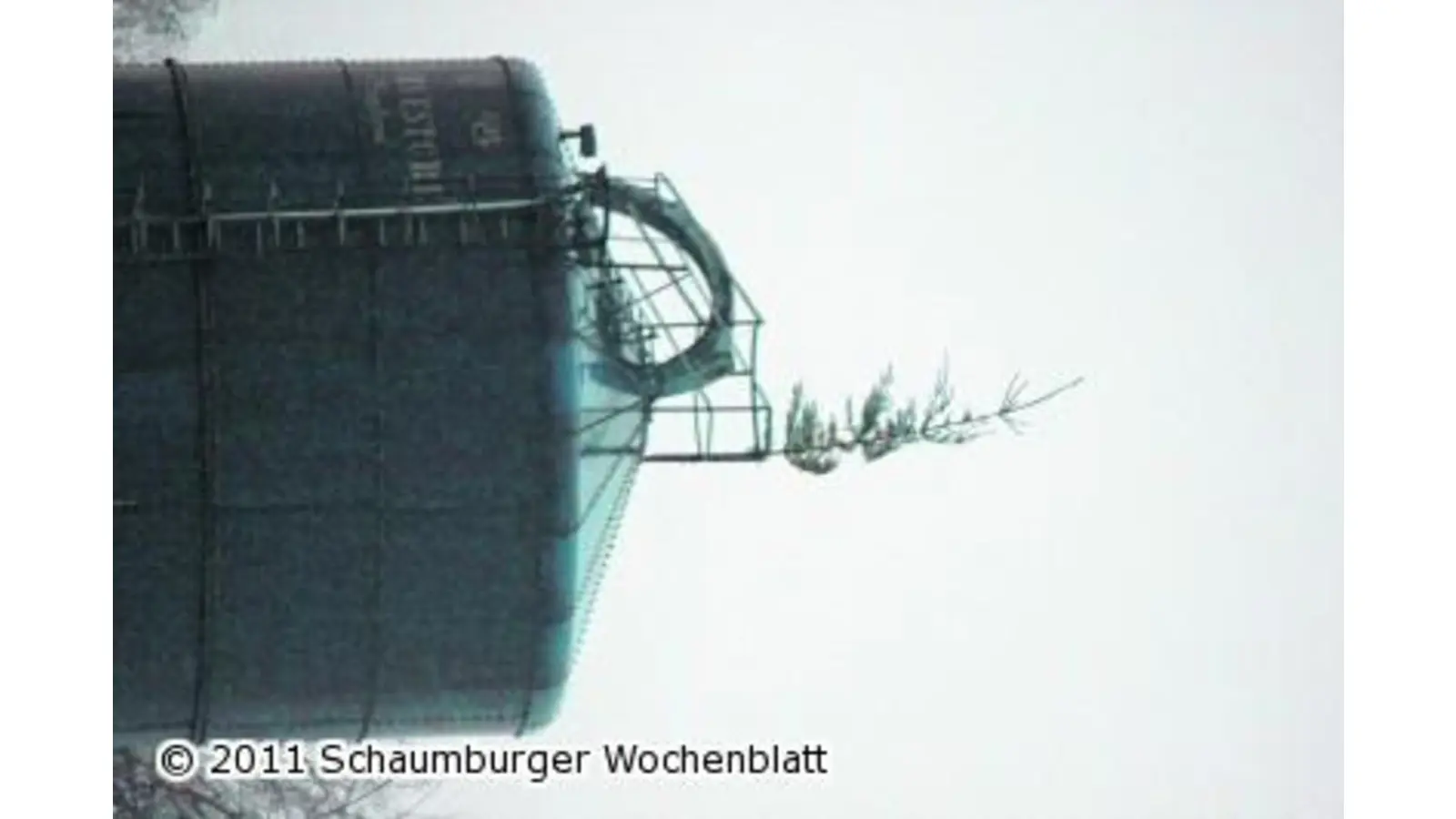 Schaumburgs schönster Weihnachtsbaum (Foto: red)