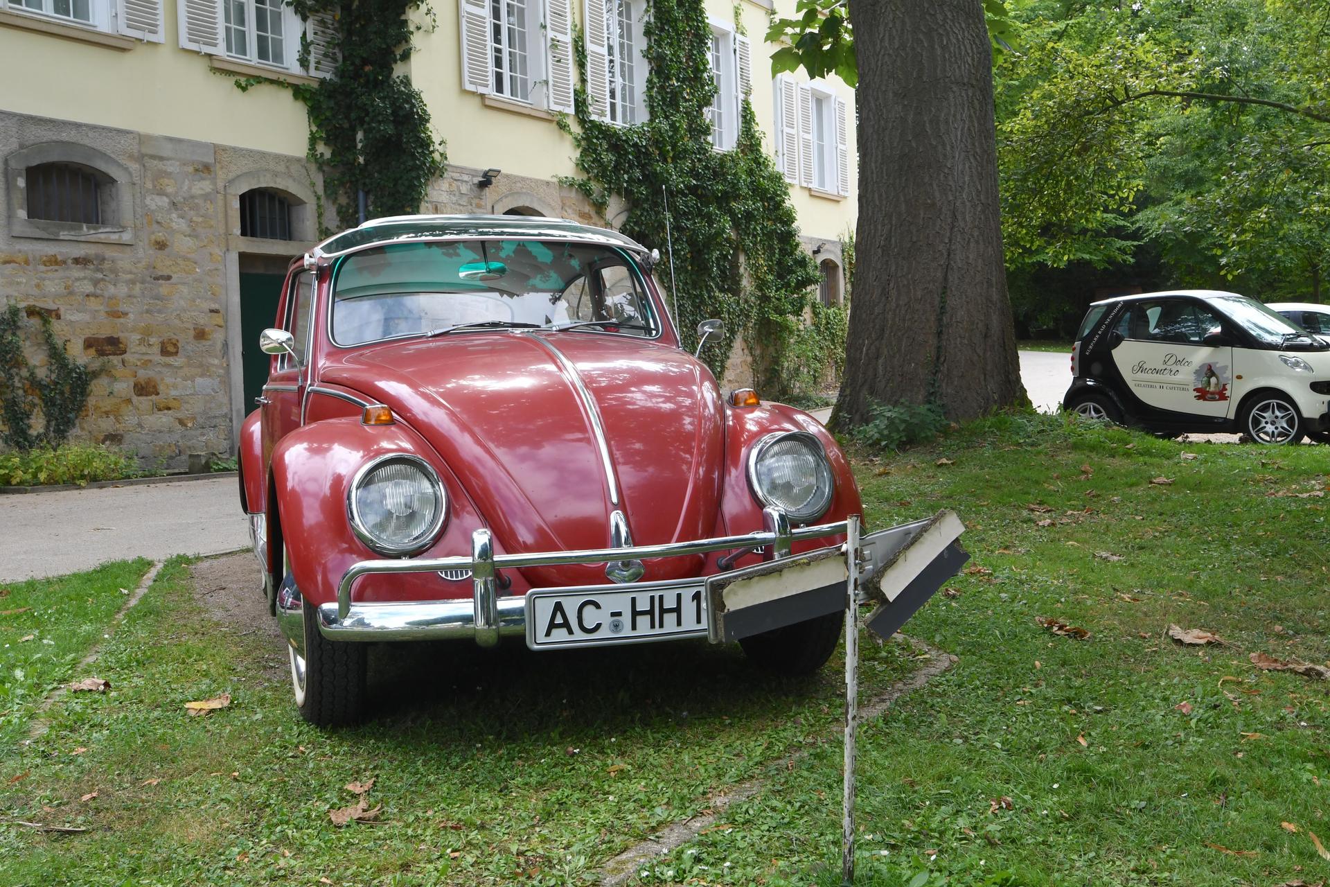 Kurpark (Foto: nd)
